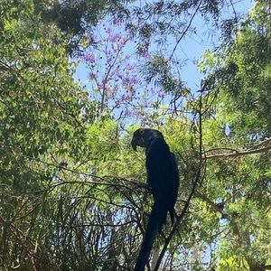 Meet your Posher, Jocelyn